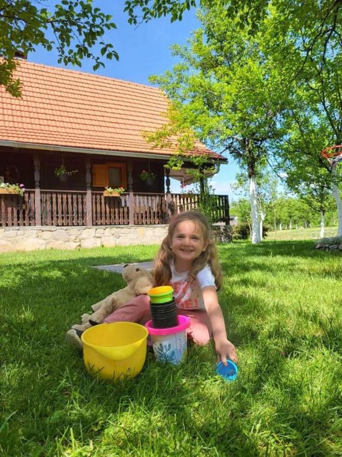 Вилла Tetina Kuca Saborsko Экстерьер фото